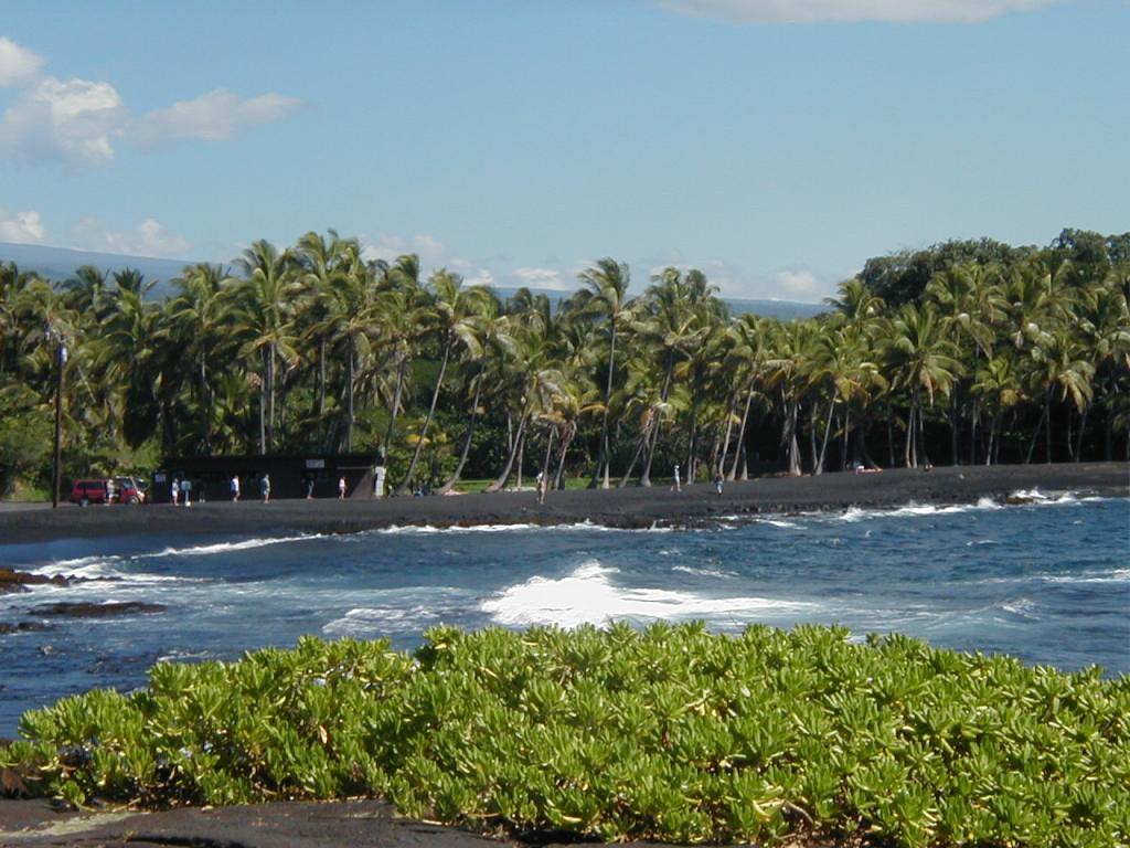 Black Sand Beach 2http://www.seniorforums.com/album.php?albumid=345&amp;attachmentid=30480