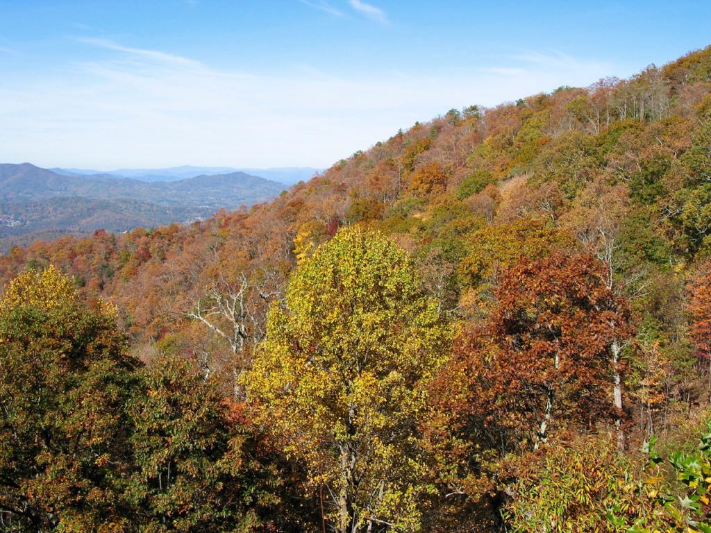 Blue Ridge Parkway in Autumn