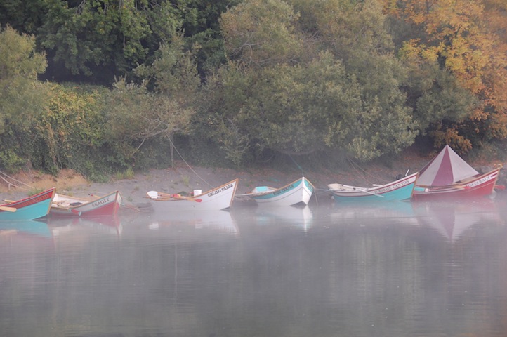 boats