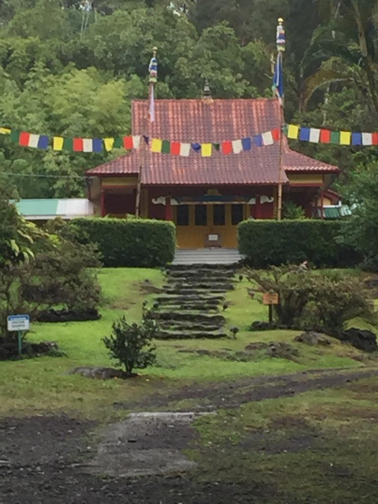 buddhtemplehttp://www.seniorforums.com/album.php?albumid=345&amp;attachmentid=29125