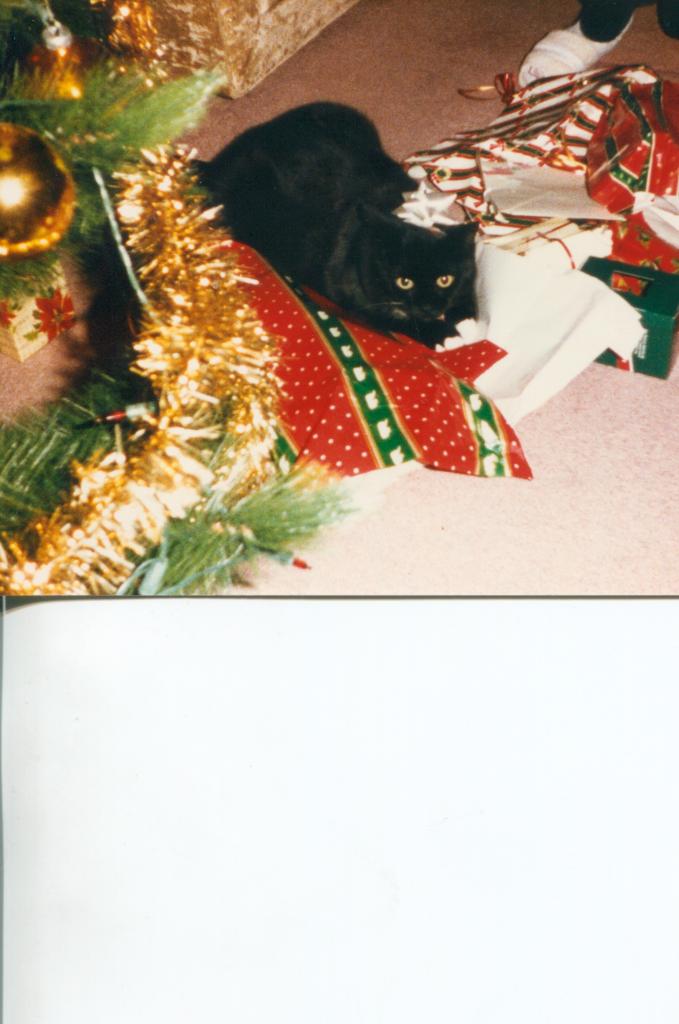 christmas harriet