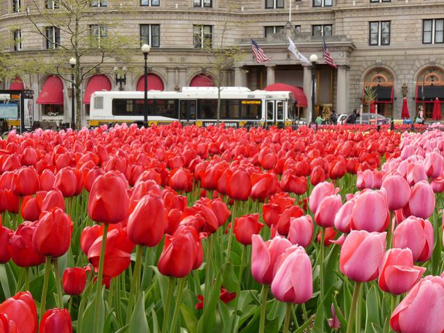Copley Square, Boston.