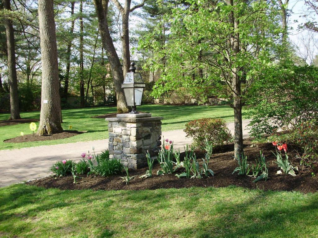 driveway with tulips
