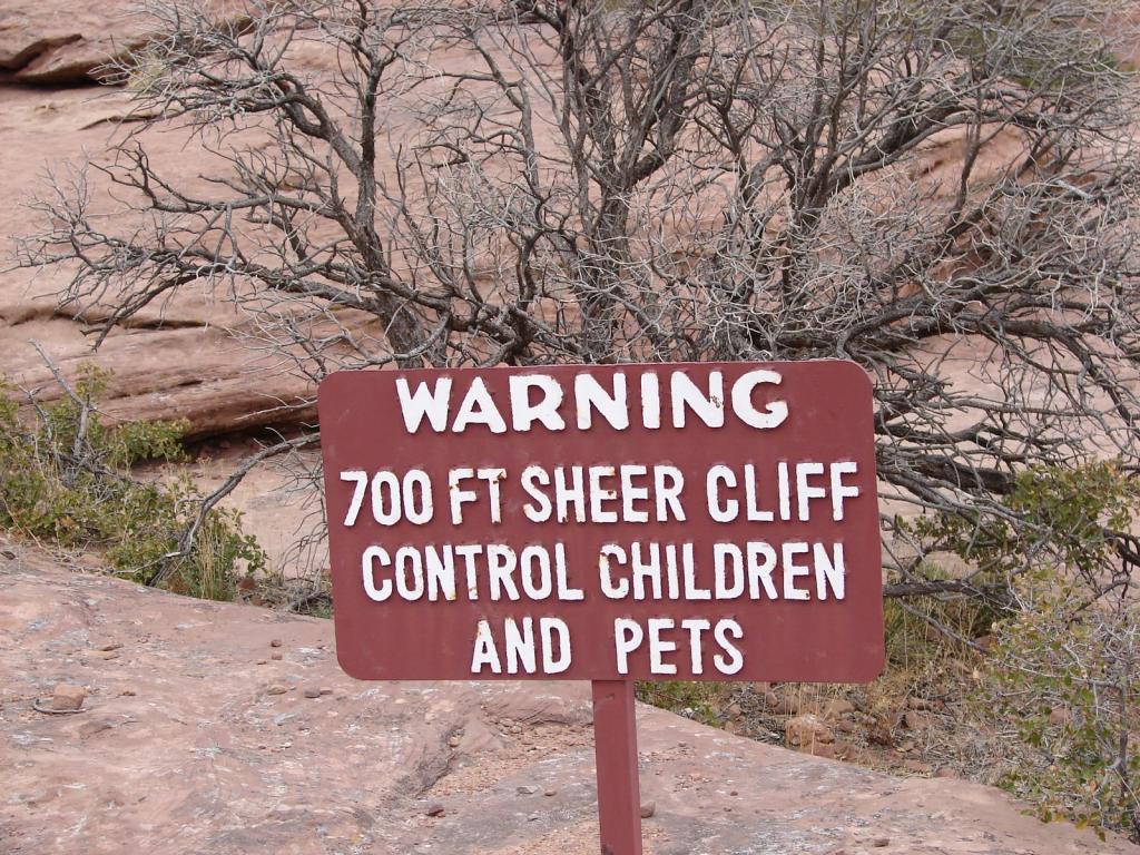 DSC00370

National Park warning sign at Spider Rock overlook--Canyon De Chelly