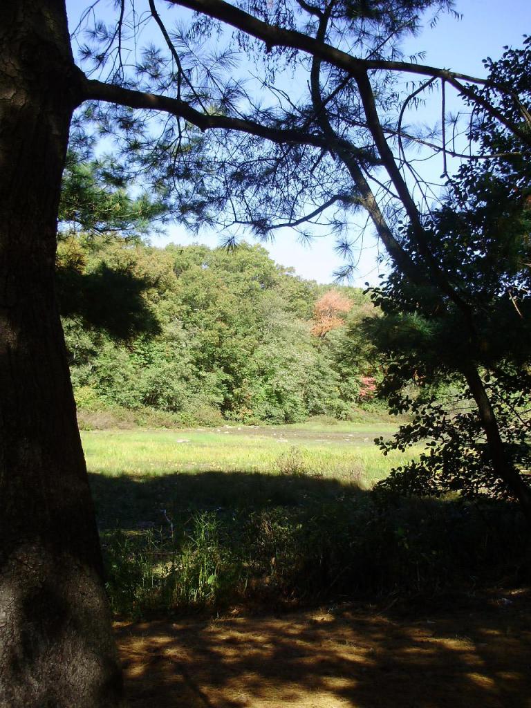 early autumn vista
