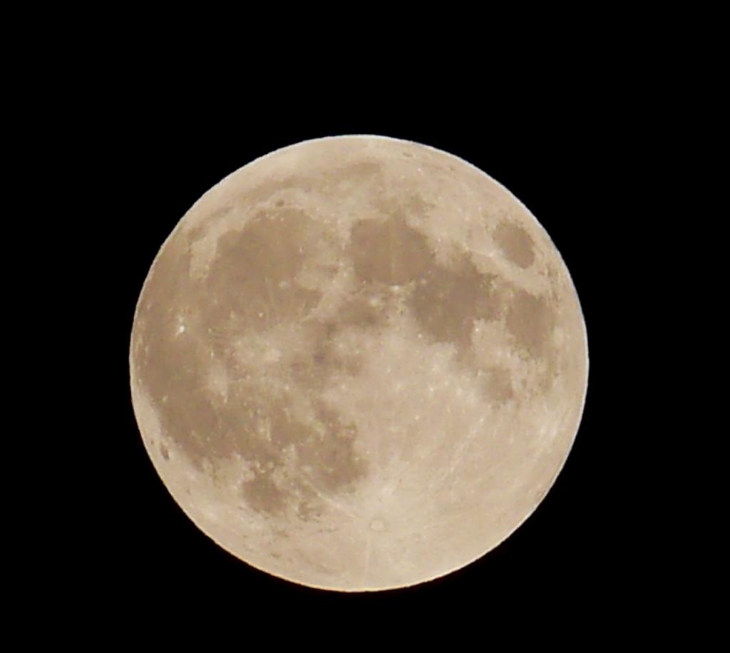 Early shot after the moon came up, about an hour before the eclipse will start.