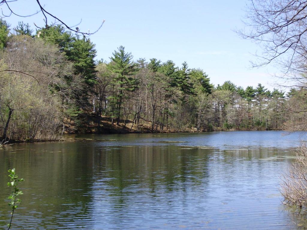early spring vista