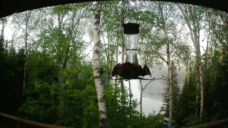 earlymorningfog.jpeg was ok......The Humming bird absolutley fantastic