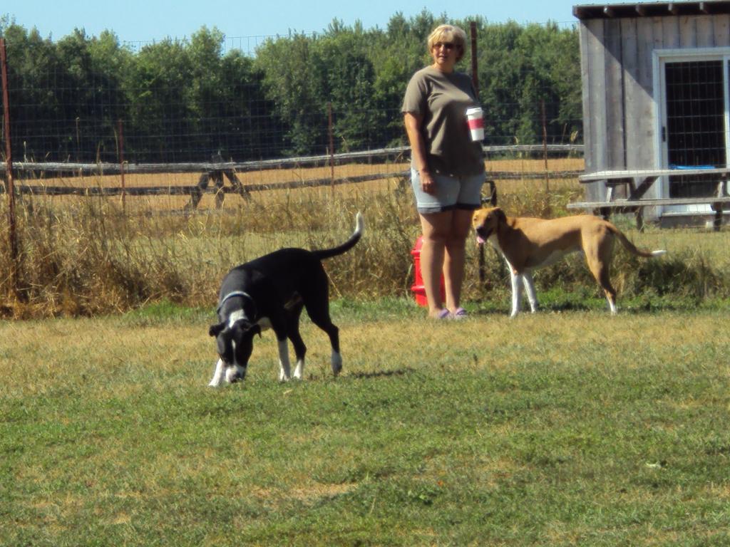 Far right before our woods behind the garage