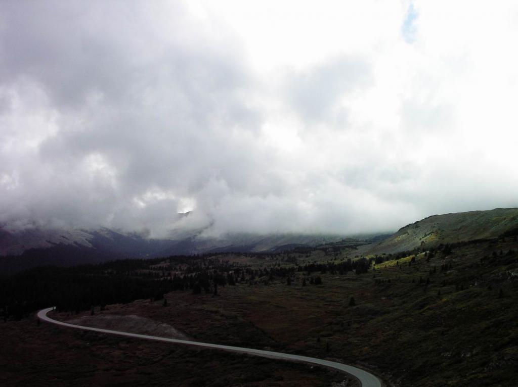 Fog Rollin' In