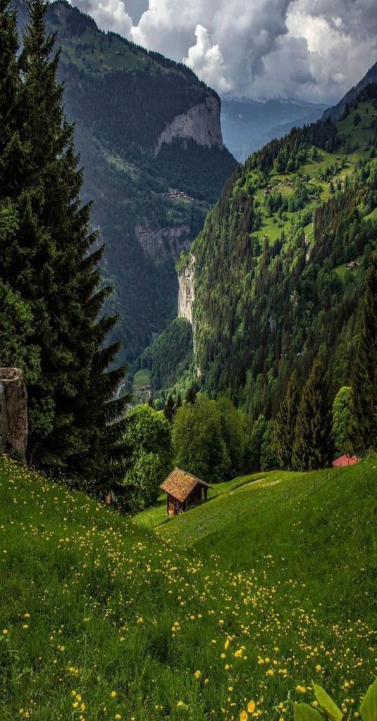 follow me alpine