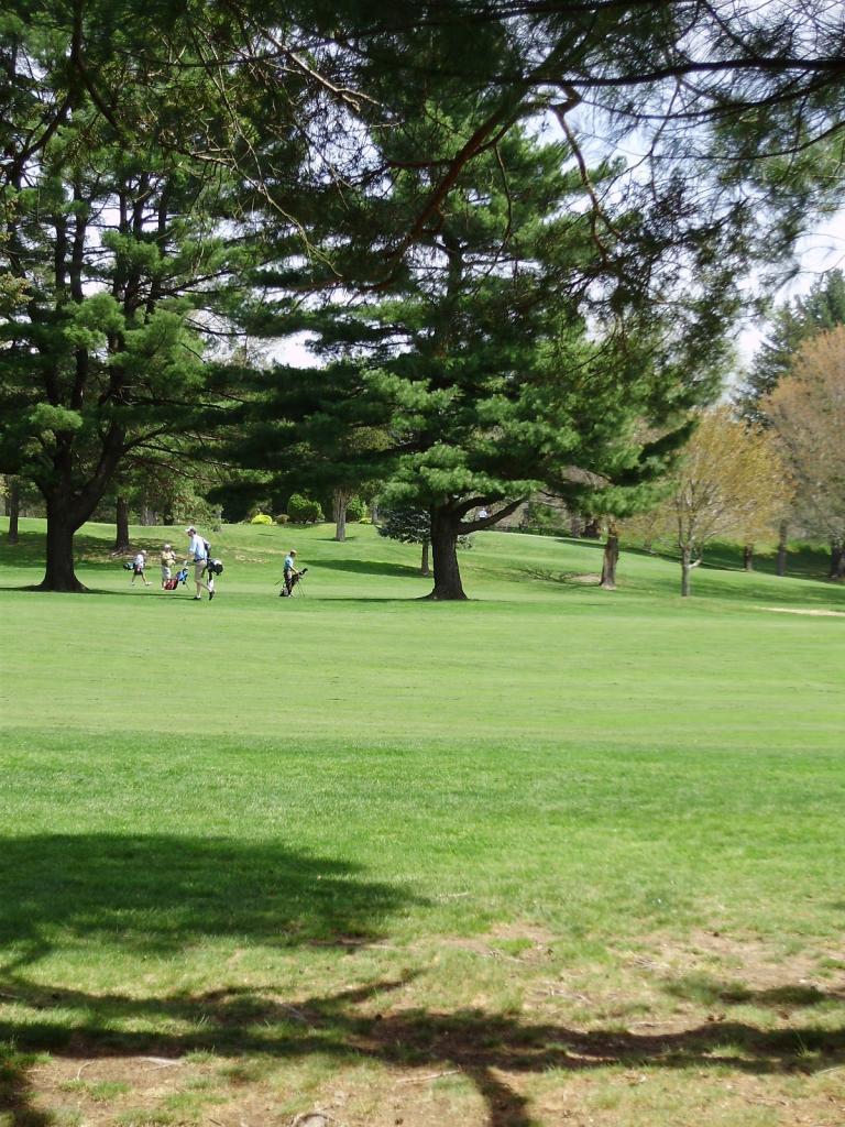 golf group