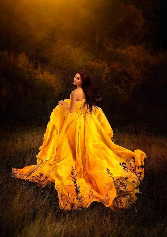 good night yellow field