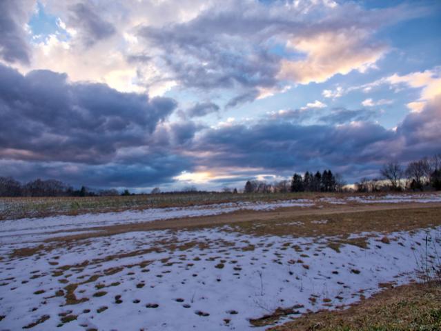 Great Brook Farm Aurora