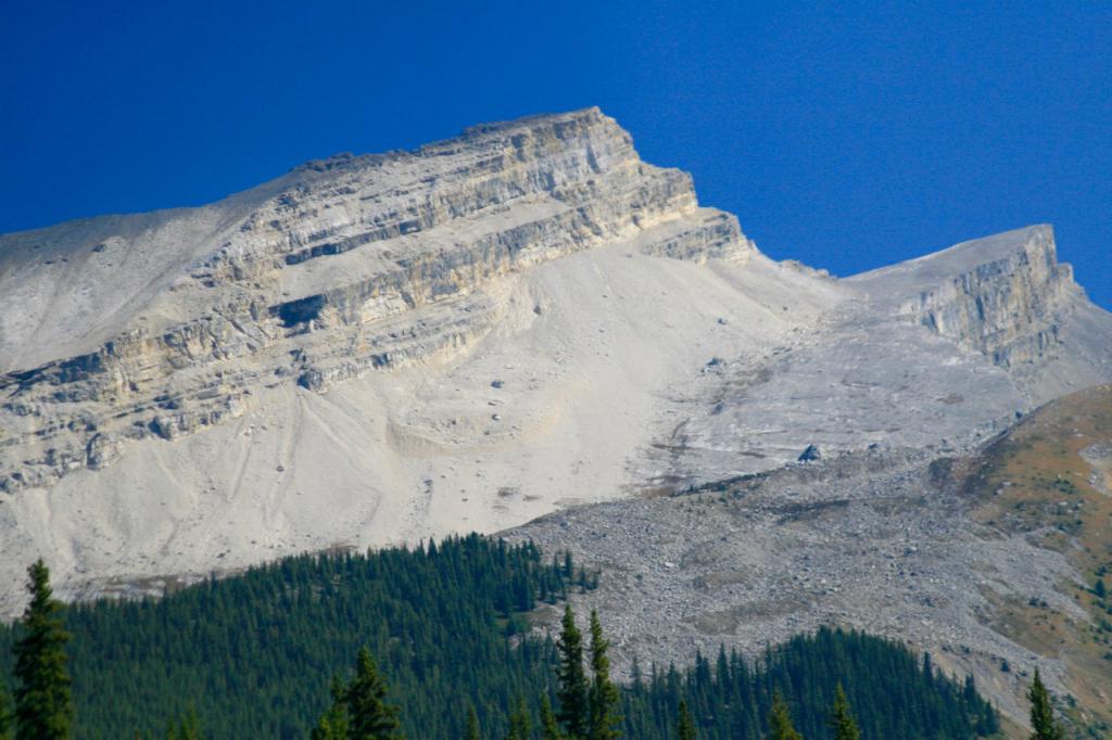 IMG 0270