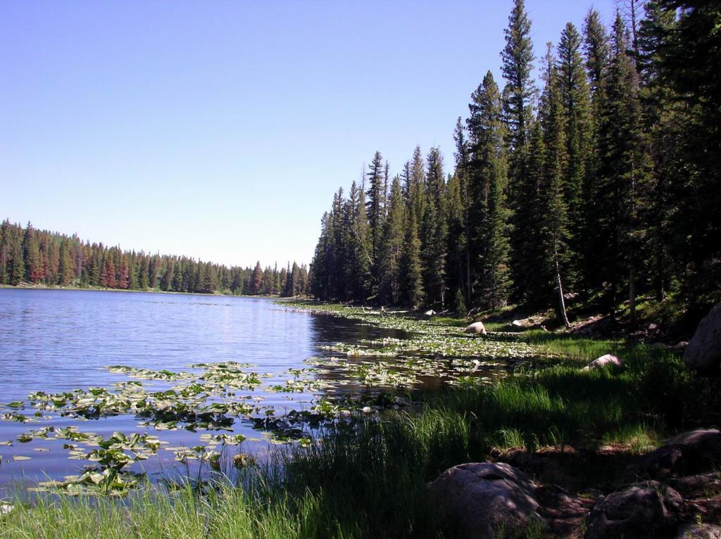 Lake