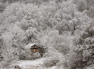 Little Lonely House For The Solitary Soul.