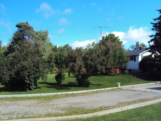 Looking up from Shed