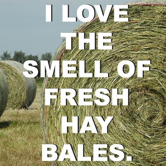 Love the Smell