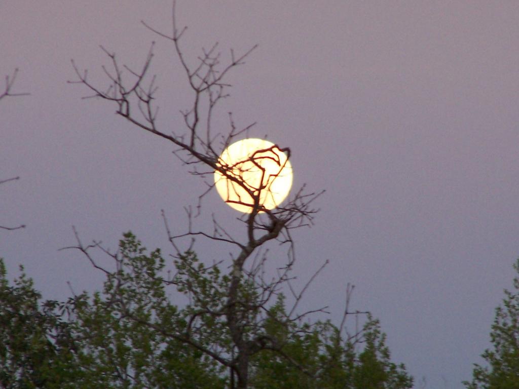 moon