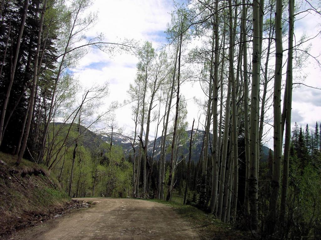 Mountain Road