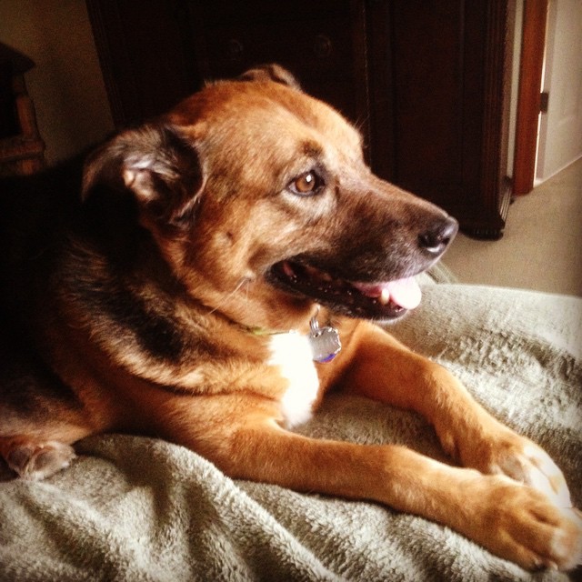 My buddy.