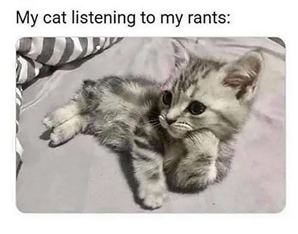 mycatlistening.jpg