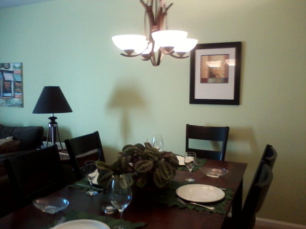 new light fixture