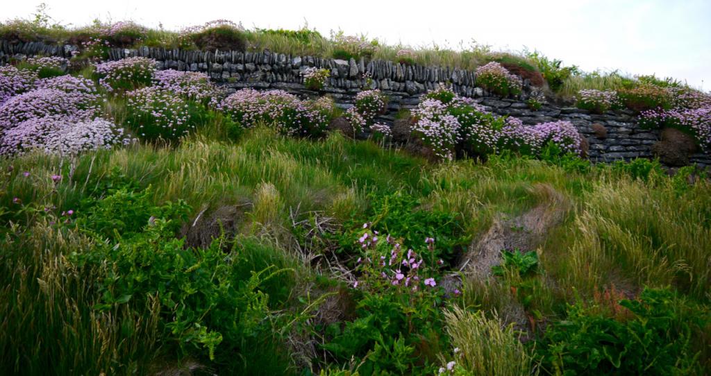 Newquay, early morning hike to the ocean.