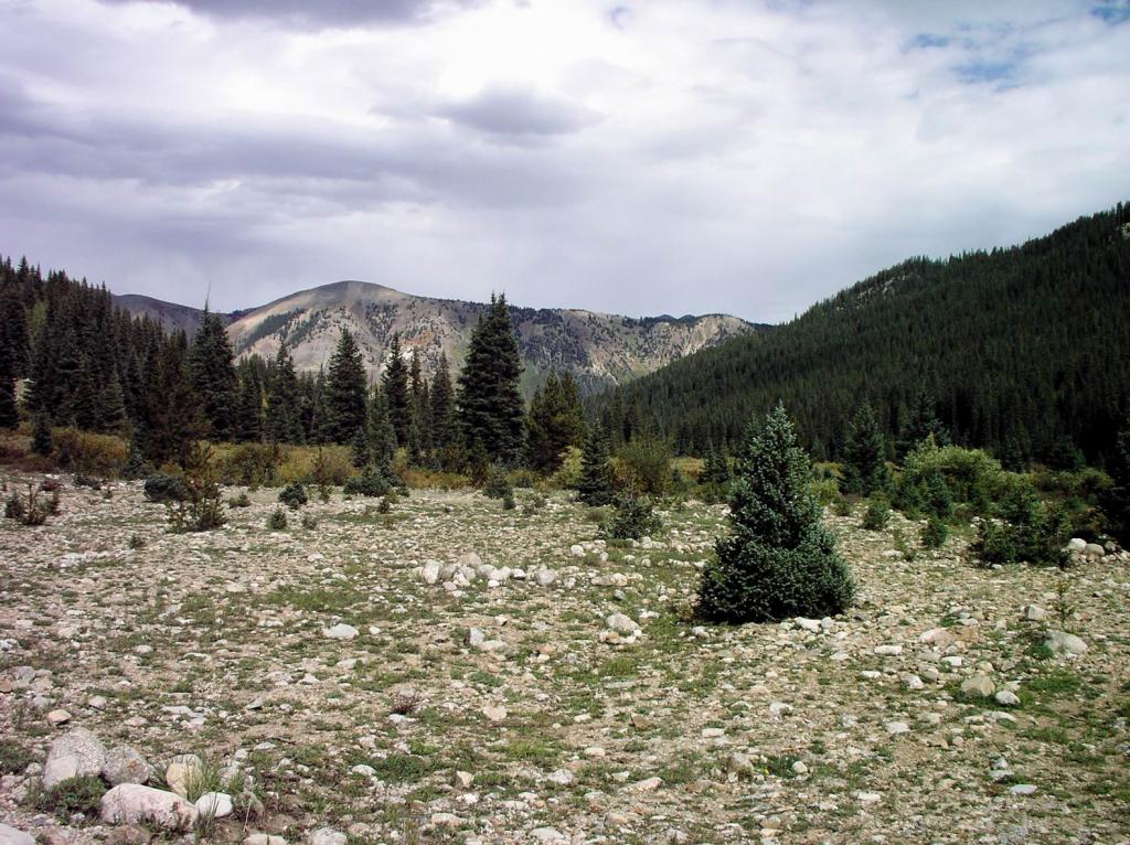 Nice Camping Spot