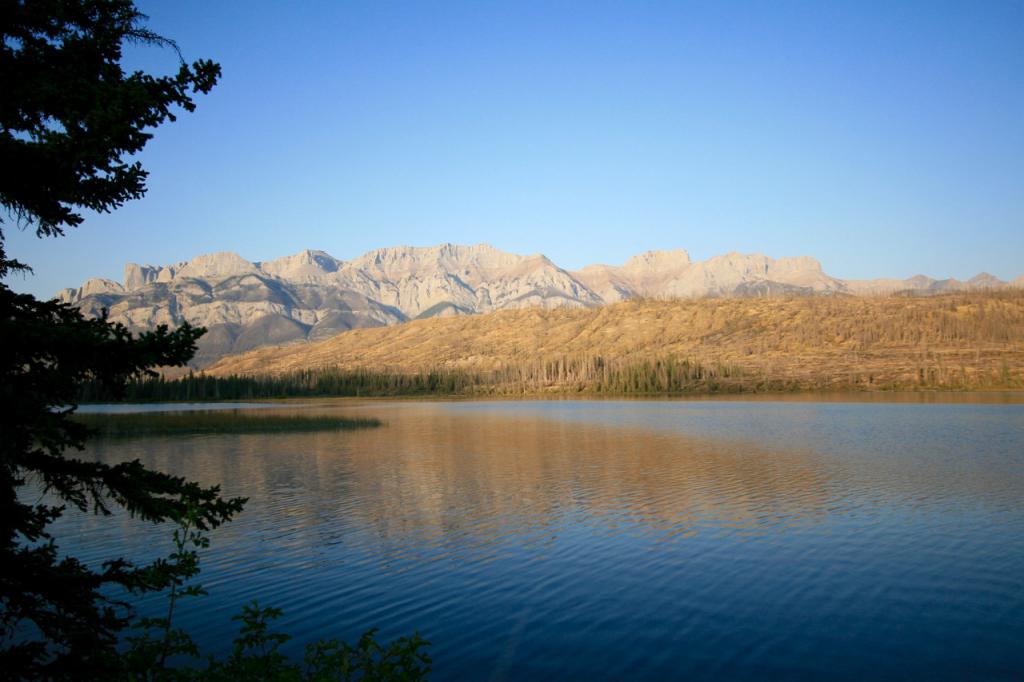 Outside Jasper in an area that had suffered a wildfire in the recent past.  Came out to shoot photos as the sun was going down.