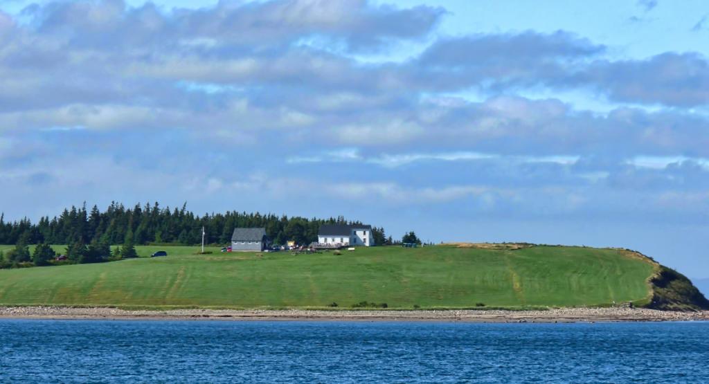 P1010026