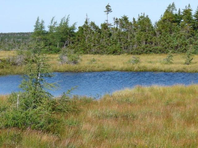 P1010126
