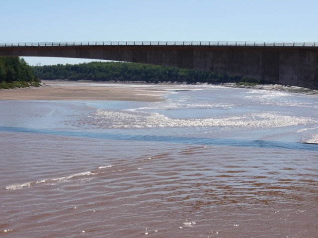 P1010187