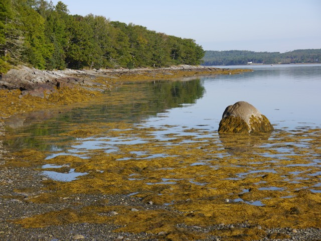 P1010286
