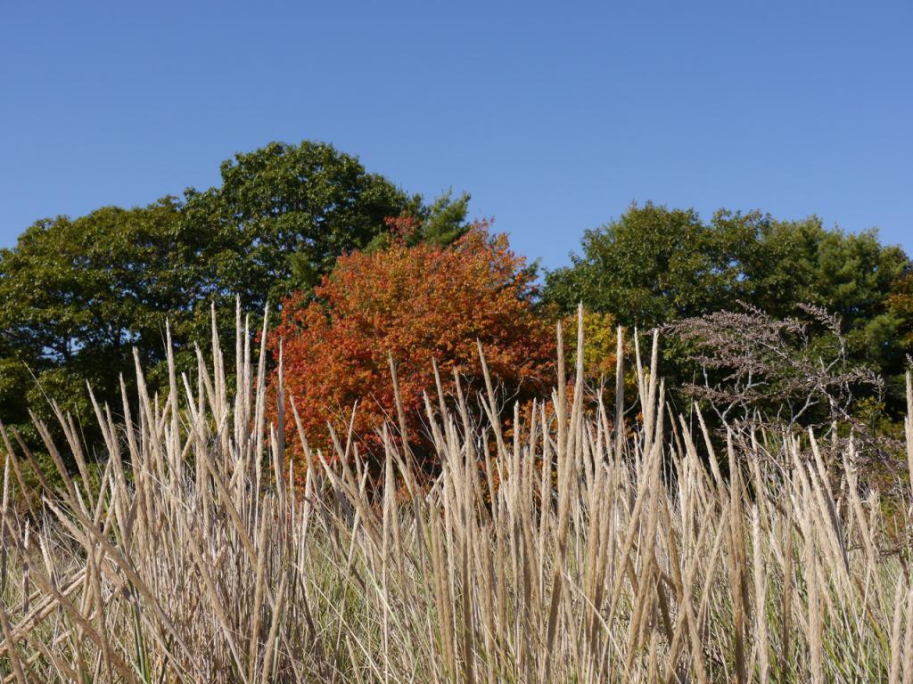 P1040155