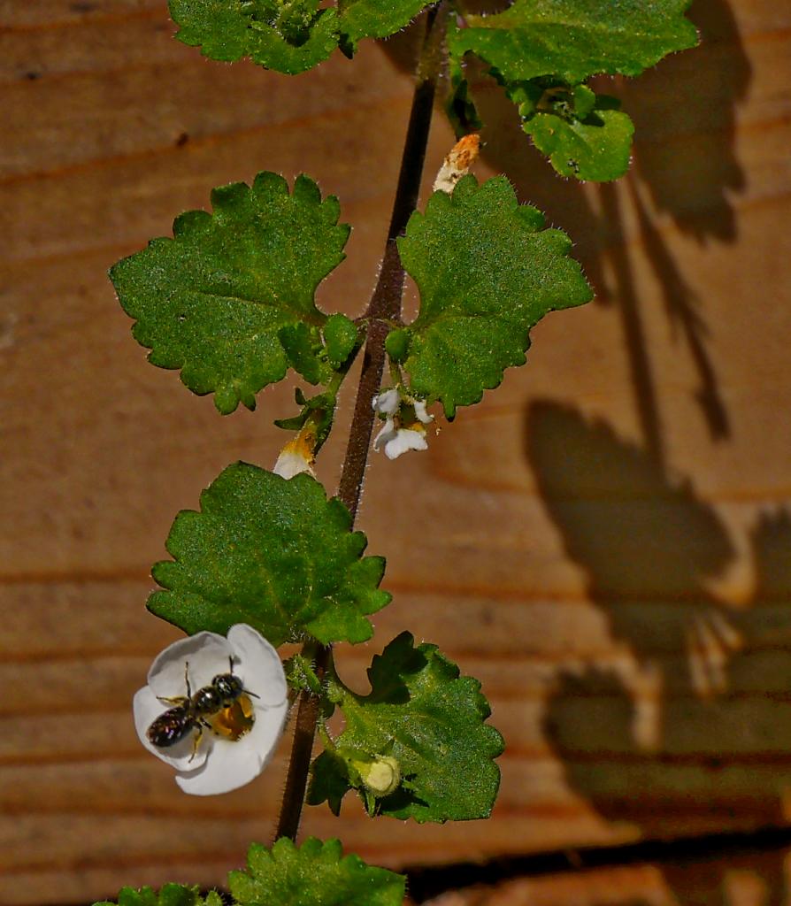 P1050064