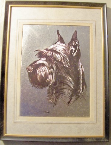 picture2.jpg