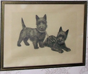 picture3.jpg