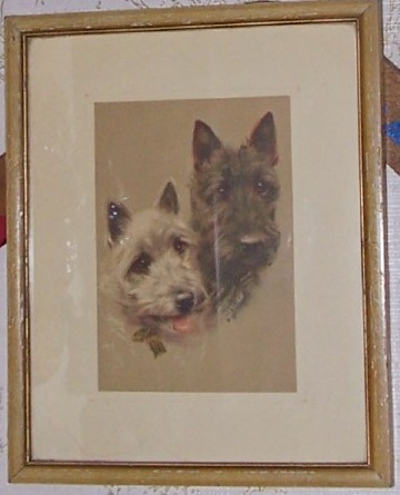 picture4.jpg
