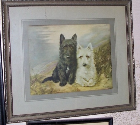 picture6.jpg