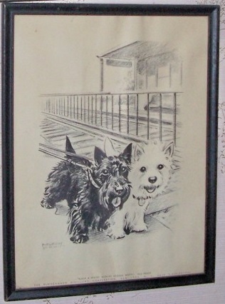 picture7.jpg