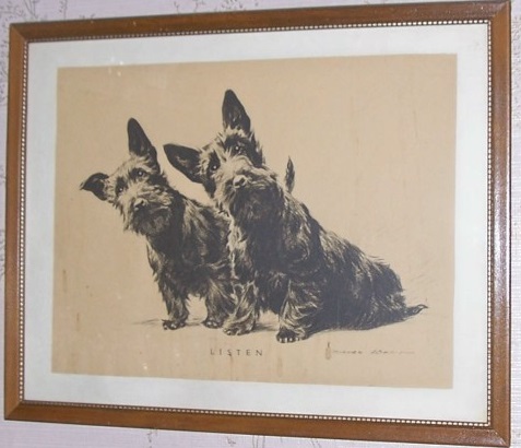 picture9.jpg