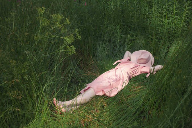 pink morn in grass.jpg