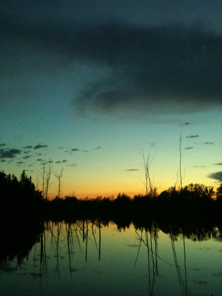 Pond