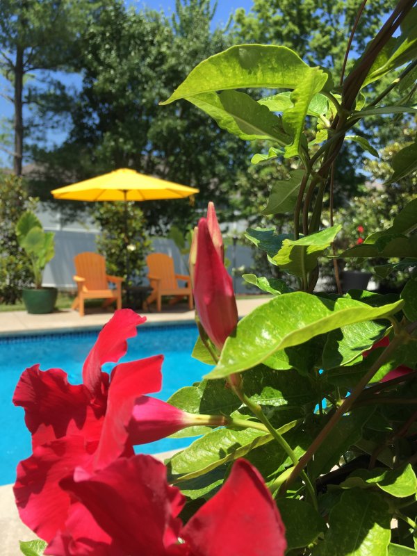 Pool.JPG