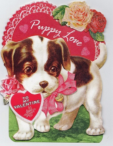 puppy love 2.jpg