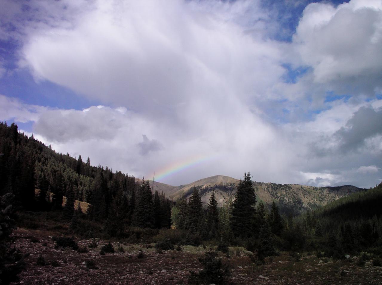 Rainbow