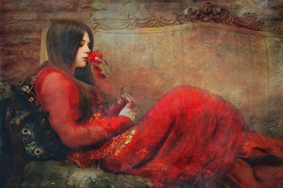 red good night