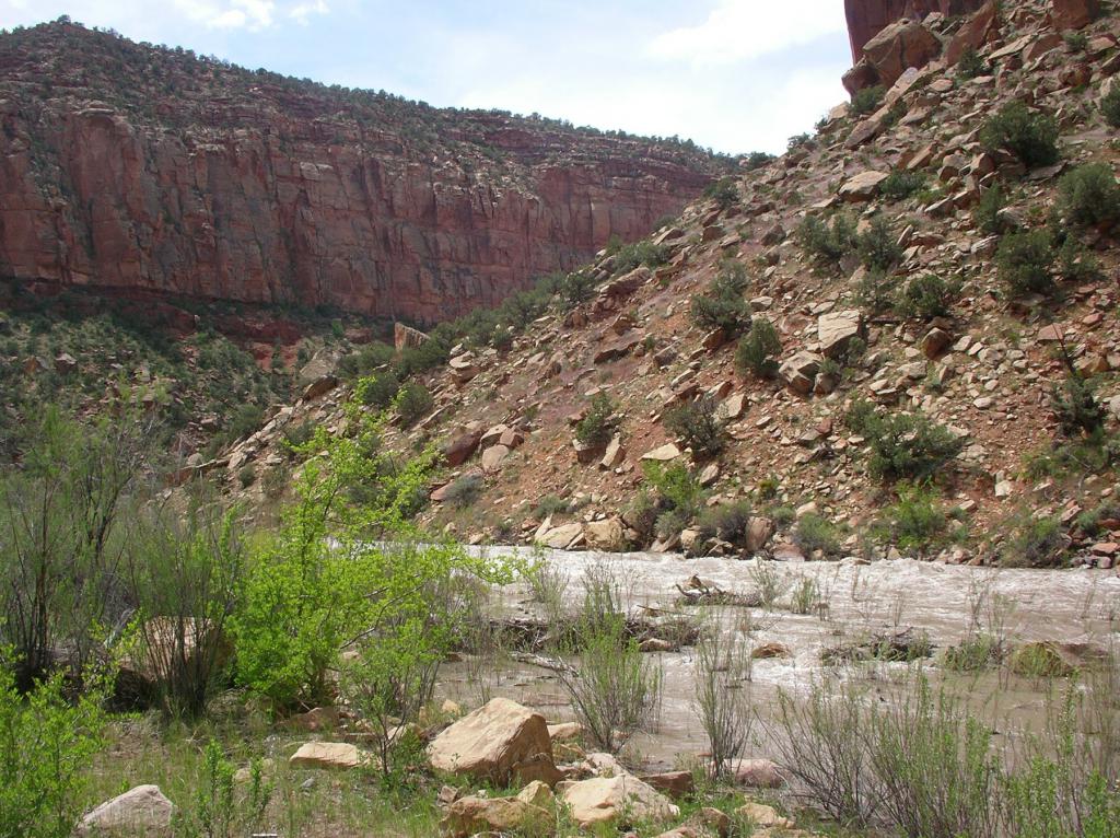 River Scene
